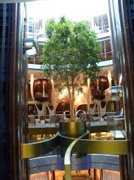 Celebrity Silhouette Interior Photos Grand Foyer Tree Singles Cruise Hawaiian Cruises Cruise Ship