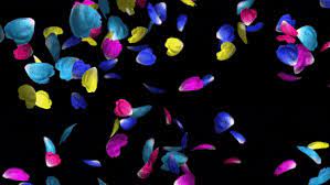Share the best gifs now >>>. Rose Petals Falling Wallpaper Transparent Gif