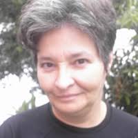 PDF) O ELOGIO DA BO BAG E M