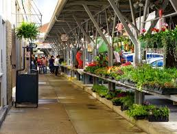 Check spelling or type a new query. 10 Fun Things To Do In Roanoke Virginia The Globetrotting Teacher