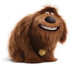Duke The Secret Life Of Pets Pets Movie Secret Life Of Pets Secret Life