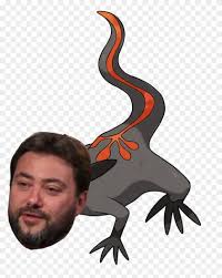If pokemon sword and shield. 443kib 1031x1192 Salandit Of Akkad Pokemon Sword And Shield Starter Evolutions Clipart 4130723 Pikpng