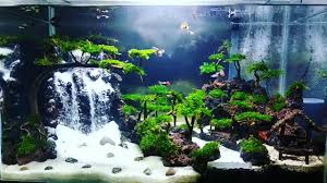 Discount Prices On All Aquarium Accessories Aquarium Landscape Amazing Aquariums Fresh Water Fish Tank