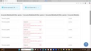 Image result for Harpachne