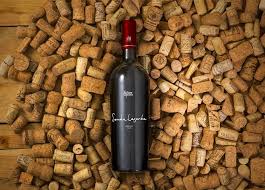 Mockupworld Part 18 Wine Bottle Free Wine Bottle Mockup