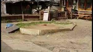 taklaci guvercin oyunlu guvercin taklaciguvercin taklaciguvercin takla taklaci taklaci taklaciguvercin taklaciguvercinler taklacisevenler taklacioy kus