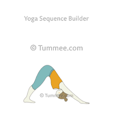 Start on hands and knees, lining the knees up underneath the hips and the hands just for many students downward facing dog is a challenging pose to find good alignment. Adho Mukha Svanasana Yoga Downward Facing Dog Pose Yoga Sequences Benefits Variations And Sanskrit Pronunciation Tummee Com