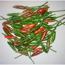 6 biji bawang merah kecil. 30 Pcs Biji Benih Cili Padi Kampung Cili Burung Shopee Malaysia