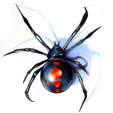 The black widow spider is so named because it kills its ever male after courtship. 10 Black Widow Tattoo Designs