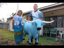 When they swim in the ocean, their urine is highly saline. There S A Blue Bull On My Stoep Zululand Observer