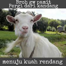 13 Meme Hewan Qurban Yang Siap Menghiburmu Menyambut Idul Adha