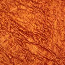 Image result for Afzelia