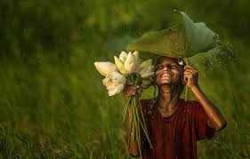 Maybe you would like to learn more about one of these? 20 Stunning Images Of Green Winners Of World S Best Photos 2020 Agora Contest