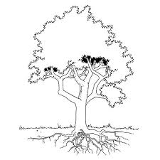 Ensemble de silhouettes vecteur d'arbres sans feuilles pendant la période d'hiver ou au printemps. Coloriage Arbre D Hiver
