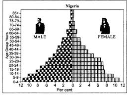 Picture composition add to my workbooks (13) download file pdf embed in my website or blog add to google classroom Class 12 Geography Ncert Solutions Chapter 3 Population Composition Learn Cbse