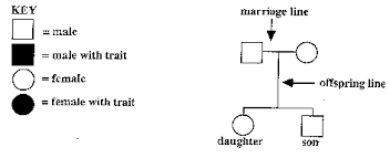 Palm Task With Student Directions