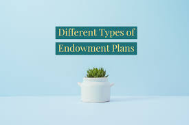 Endowment plans are life insurance policies that not only covers the insured's life in case of an unfortunate event, but also offer a lump sum amount known as maturity benefits at the end of term. What Is Endowment Policy The Types Of Endowment Policy Your Guide To Insurance