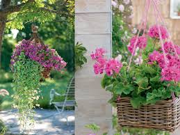 Aufmacher Blumenampel Selbst Gemacht Blumen Ampel Blumenampeln Blumen