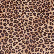 These natural zebra print upholstery fabric are available in a wide variety of excellent colors that will be flawless for your diy projects or clothing. Find Fabrics Details Palazzo Fabrics Leopard Print Fabric Animal Print Fabric Contemporary Upholstery Fabric