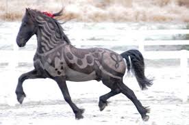 10 Really Cool Clip Jobs Horse Nation Horses Pretty Horses Horse Love