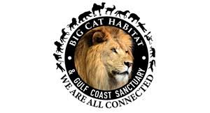 Top things to do in big cat habitat and gulf coast sanctuary. Big Cat Habitat Gulf Coast Sanctuary Coupons Deals Sarasota Fl