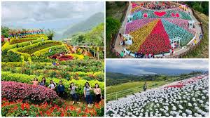 How to plant a beautiful perennial garden. 6 Most Beautiful Flower Gardens In The Philippines