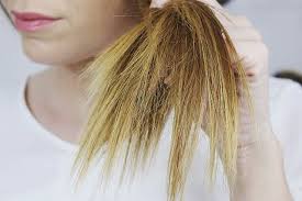 instagram photo by beautyqueen ch apr 11 2016 at 1 27pm utc haarbruch haare pflegen frisuren