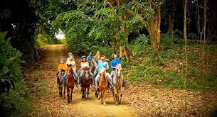 Six Memorable Outdoor Activities In Puerto Rico Western Caribbean Cruise Eastern Caribbean Cruises San Juan Cruise