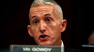 Gowdy: 'There's going to be a Russia probe even without a dossier'