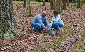How To Build A Treehouse The Home Depot This upstate new york picturesque perch, owned by treehouse.