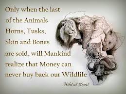 Only When The Last Of The Animals Horns Tusks Skin And Bones Are Sold Will Mankind Realize That Money Can Never Buy Back Our Animal Rights Save Animals Animals