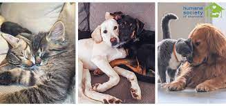 Where do you need small animal control pros? Humane Society Of Charlotte Home Facebook