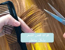 Pin On البيت العربي