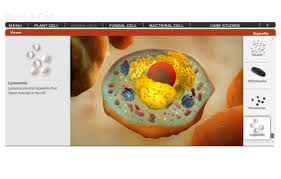 Test your knowledge about the universe with our quizzes and games! Build A Cell The Science Game Center