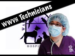 Warren Woods Veterinary Hospital Technicians Veterinary Hospital Veterinary Hospital
