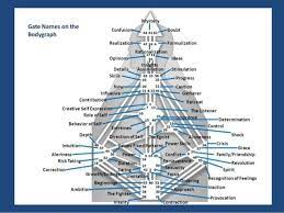Human design for everyone free chart. 14 Best Human Design Chart Ideas Human Design Human Human Design System