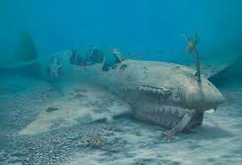 Warhawk Reef P 40n Wild Wings Aviation Art Abandoned Ships Fighter Planes