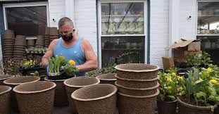 You'll need a sunny garden spot, some plants and a few simple tools and materials. Gardening In Illinois During Coronavirus What To Know Chicago Tribune