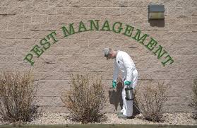 You can mix together crisco shortening or lard with. Pest Control Companies Will Save Your Sanity World Inside Pictures
