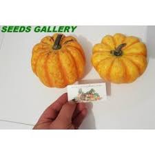 Pentru a afla câte uncii are o lingură, vom aplica aceeași metoda ca în cazul cănii. Festival Squash Seeds PreÈ› 1 95