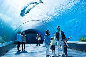 Yokohama Hakkeijima Sea Paradise Sea Theme Park Island Life