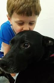 21-Year-Old Inspires People To Share Photos Of “Vicious Pit Bull Attacks”,  And It's Just Too 'Scary'