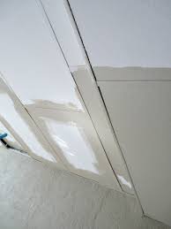 They are favored because they are inexpensive and cover the floor with a protective material if desired. How To Paint Drop Ceilings You Cannot Remove Dans Le Lakehouse