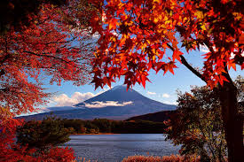 Fuji Kawaguchiko Autumn Leaves Festival 2021 Japan Web Magazine