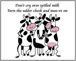 Spilled Milk Cows Funny Cow Quotes Cute Quotes For Life