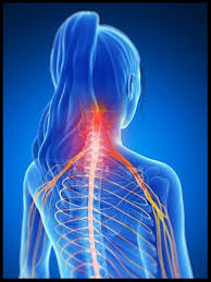 We did not find results for: Mid And Upper Back Pain Active Health Spine Sport Dr Damir Simunac Chiropractor Niles Il Active Health Spine Sport