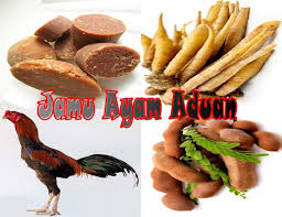 Kunyit hampir dimanfaatkan masyarakat sebagai bahan masakan atau pewarna makanan alami. Jamu Ayam Aduan Alami Penambah Kuat Nafas Dan Stamina Caracari