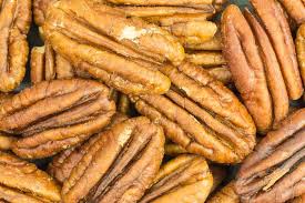 Image result for Carya illinoinensis