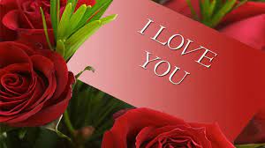 Naturally, people might prefer putting up desktop wallpapers that mainly comprise of things that. Love Rose Wallpaper Hd Download