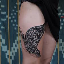 Top free images & vectors for eagle ray in png, vector, file, black and white, logo, clipart, cartoon and transparent. Victor J Webster